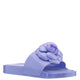 PERIWINKLE